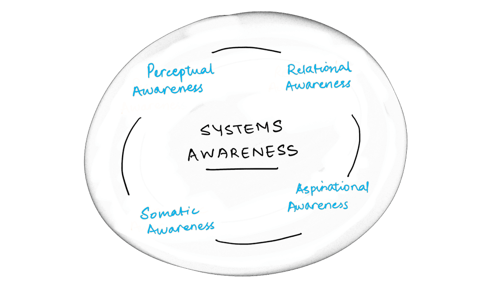 Systems Awareness Mandala — perceptual, relational, somatic, aspirational